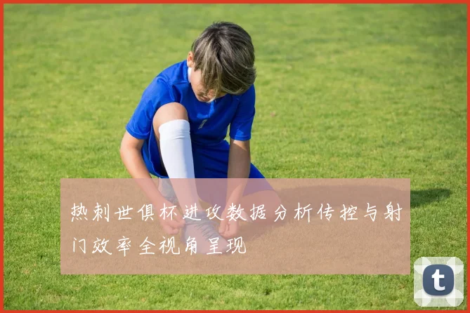 热刺世俱杯进攻数据分析传控与射门效率全视角呈现