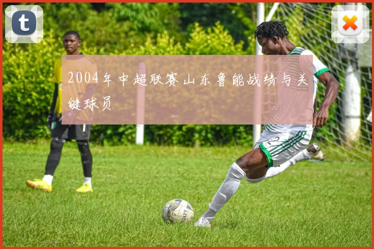 2004年中超联赛山东鲁能战绩与关键球员