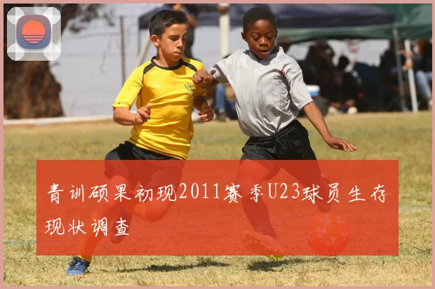 青训硕果初现2011赛季U23球员生存现状调查
