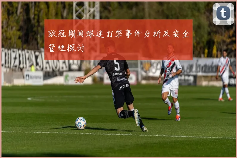 欧冠期间球迷打架事件分析及安全管理探讨